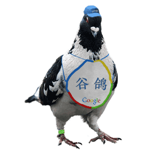 谷鸽鸟看——打造全球最大的山寨信息网.jpg