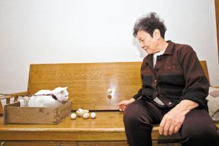 假鸡蛋是人造蛋？专家商家众说纷纭
.jpg