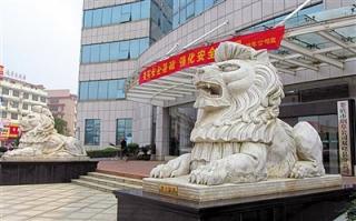 多地政府大楼流行摆“转运石” 石狮子成群结队-新华网.jpg