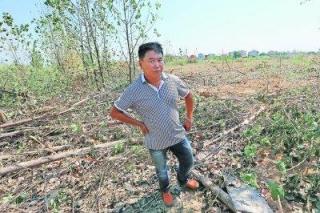 武汉15亩林地被毁 街道办称系工人弄错范围(图)-新华网.jpg