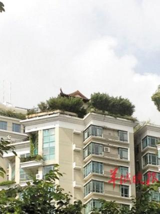 深圳豪宅楼顶建空中庙宇 主人常做法事香灰不断.jpg