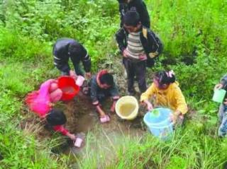 村干部修房强占蓄水池 学生稻田舀水喝.jpg